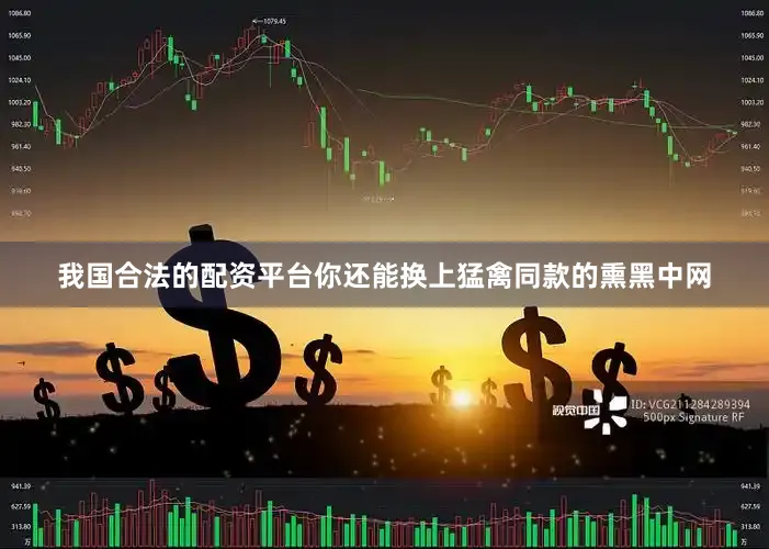 我国合法的配资平台你还能换上猛禽同款的熏黑中网