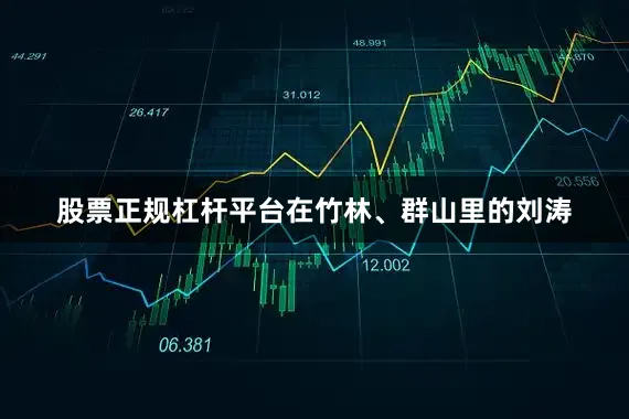 股票正规杠杆平台在竹林、群山里的刘涛