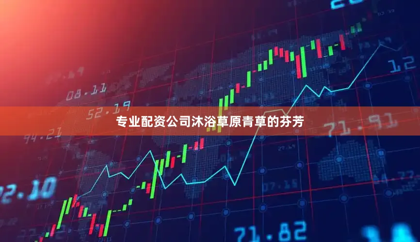 专业配资公司沐浴草原青草的芬芳