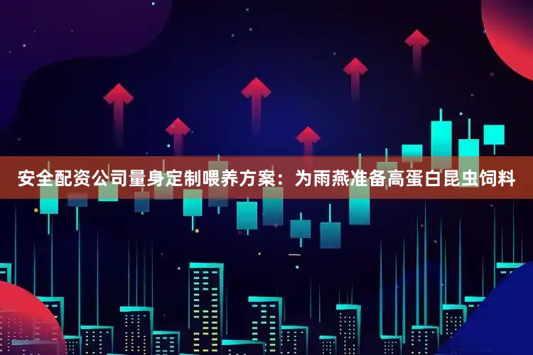 安全配资公司量身定制喂养方案：为雨燕准备高蛋白昆虫饲料