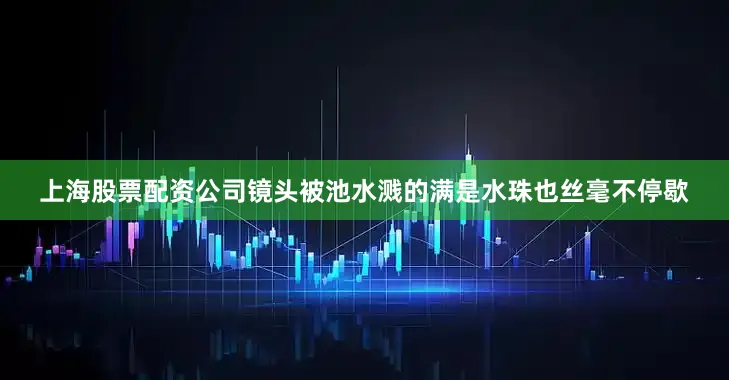 上海股票配资公司镜头被池水溅的满是水珠也丝毫不停歇